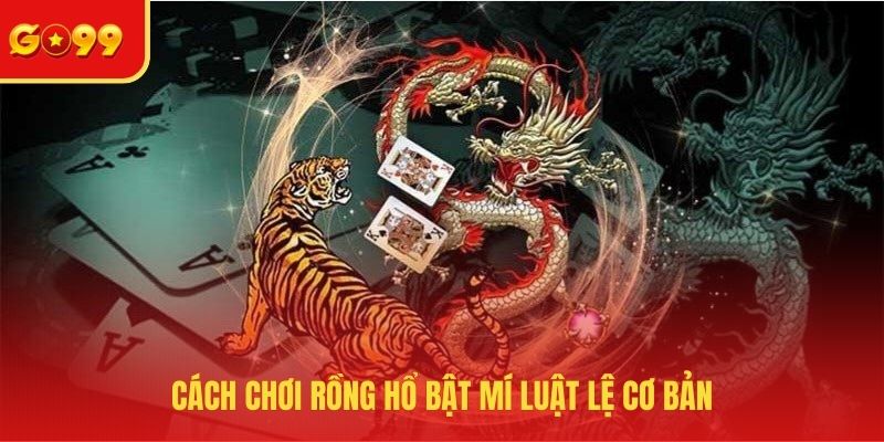 Cách chơi rồng hổ bật mí luật lệ cơ bản